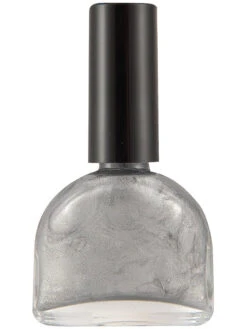 Vernis à Ongles Argent