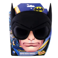 Lunettes De Déguisement Batman Adulte